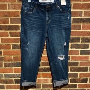 Terra & Sky boyfriend distressed jean